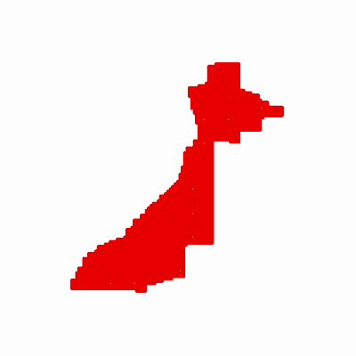 Export Image