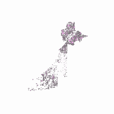 Export Image