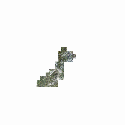 Export Image
