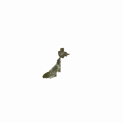 Export Image